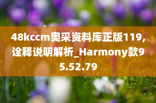 48kccm奥采资料库正版119,诠释说明解析_Harmony款95.52.79