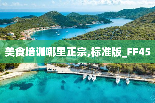 美食培训哪里正宗,标准版_FF45