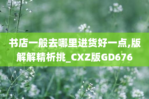 书店一般去哪里进货好一点,版解解精析挑_CXZ版GD676