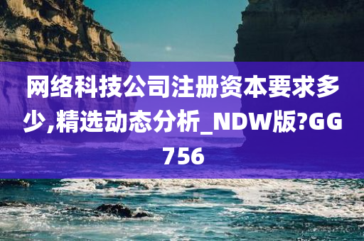 网络科技公司注册资本要求多少,精选动态分析_NDW版?GG756