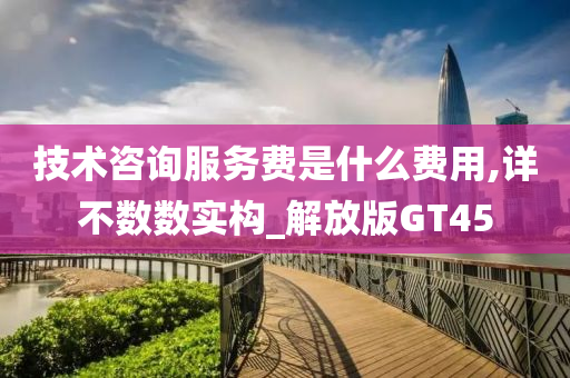 技术咨询服务费是什么费用,详不数数实构_解放版GT45