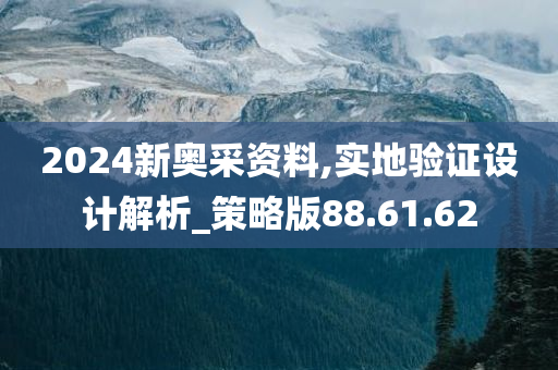 2024新奥采资料,实地验证设计解析_策略版88.61.62