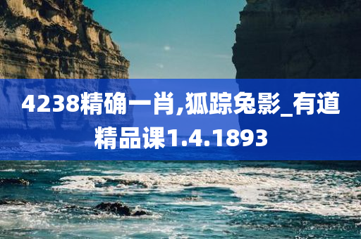4238精确一肖,狐踪兔影_有道精品课1.4.1893
