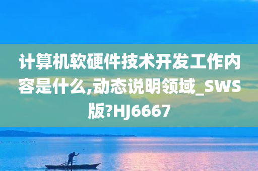 计算机软硬件技术开发工作内容是什么,动态说明领域_SWS版?HJ6667