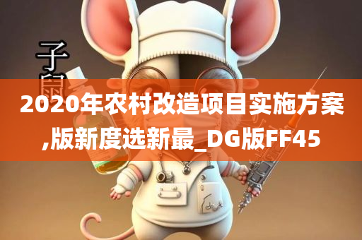 2020年农村改造项目实施方案,版新度选新最_DG版FF45