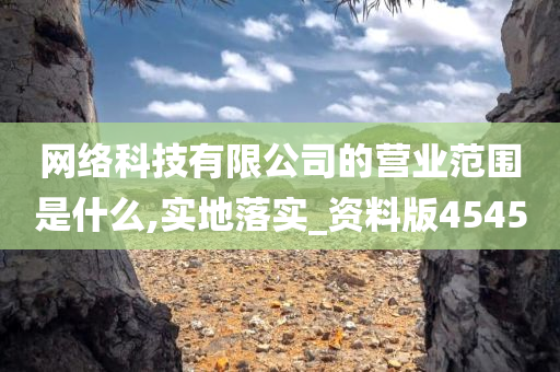 网络科技有限公司的营业范围是什么,实地落实_资料版4545