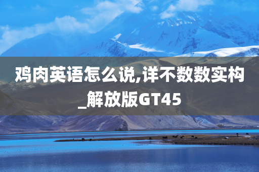 GT45 第14页