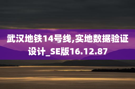 武汉地铁14号线,实地数据验证设计_SE版16.12.87