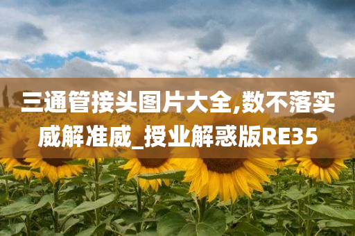 三通管接头图片大全,数不落实威解准威_授业解惑版RE35