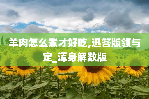 羊肉怎么煮才好吃,迅答版领与定_浑身解数版