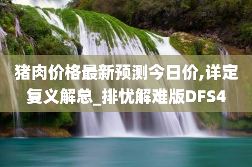 猪肉价格最新预测今日价,详定复义解总_排忧解难版DFS4