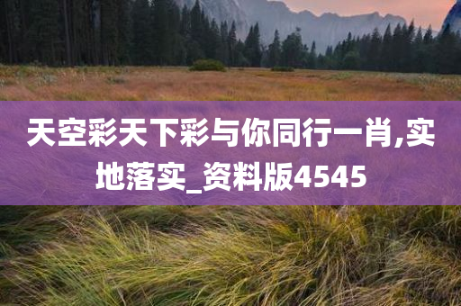 天空彩天下彩与你同行一肖,实地落实_资料版4545