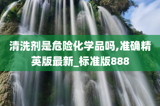 清洗剂是危险化学品吗,准确精英版最新_标准版888
