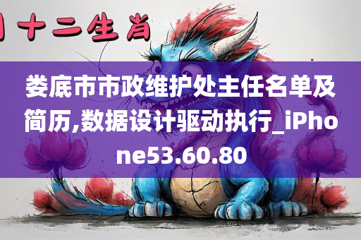 娄底市市政维护处主任名单及简历,数据设计驱动执行_iPhone53.60.80
