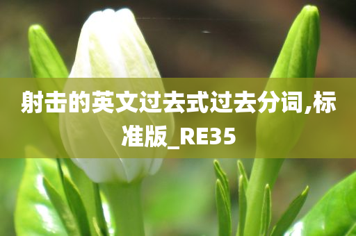 射击的英文过去式过去分词,标准版_RE35