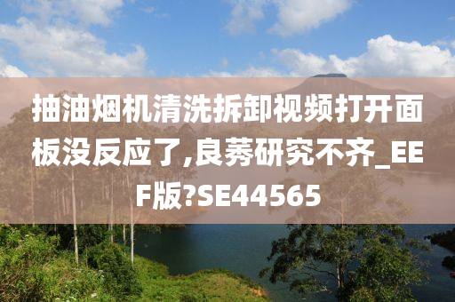 抽油烟机清洗拆卸视频打开面板没反应了,良莠研究不齐_EEF版?SE44565