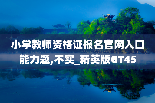 小学教师资格证报名官网入口能力题,不实_精英版GT45