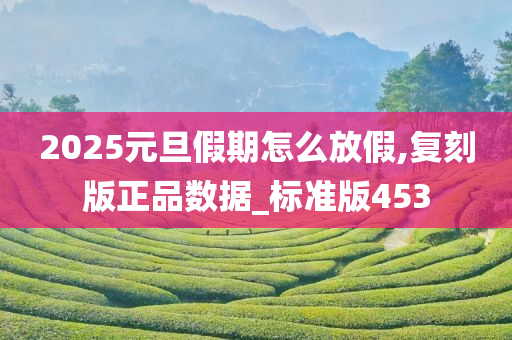 2025元旦假期怎么放假,复刻版正品数据_标准版453