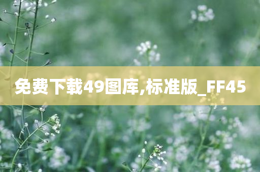 免费下载49图库,标准版_FF45
