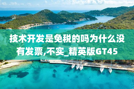 技术开发是免税的吗为什么没有发票,不实_精英版GT45