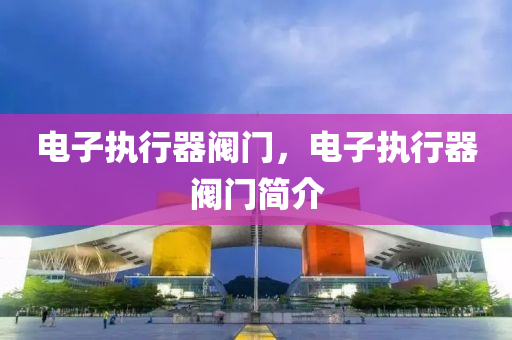电子执行器阀门，电子执行器阀门简介