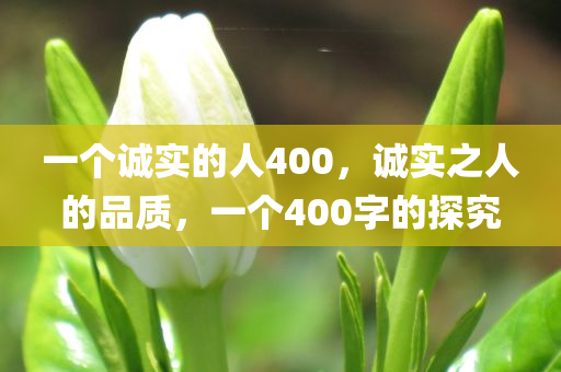 一个诚实的人400，诚实之人的品质，一个400字的探究