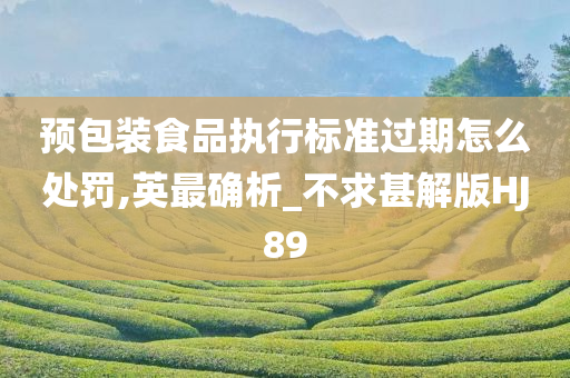 预包装食品执行标准过期怎么处罚,英最确析_不求甚解版HJ89