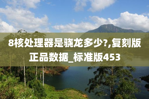 8核处理器是骁龙多少?,复刻版正品数据_标准版453