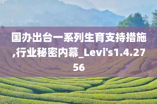 国办出台一系列生育支持措施,行业秘密内幕_Levi's1.4.2756