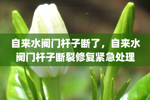 自来水阀门杆子断了，自来水阀门杆子断裂修复紧急处理