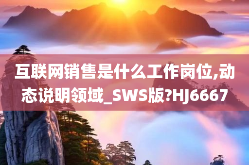 互联网销售是什么工作岗位,动态说明领域_SWS版?HJ6667