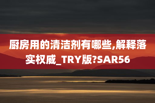 厨房用的清洁剂有哪些,解释落实权威_TRY版?SAR56