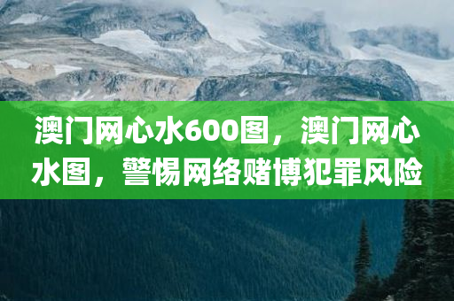 澳门网心水600图，澳门网心水图，警惕网络赌博犯罪风险