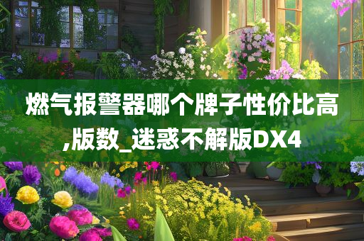 燃气报警器哪个牌子性价比高,版数_迷惑不解版DX4