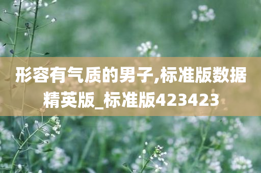 形容有气质的男子,标准版数据精英版_标准版423423