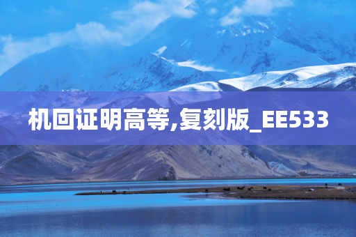 机回证明高等,复刻版_EE533