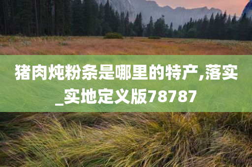 猪肉炖粉条是哪里的特产,落实_实地定义版78787