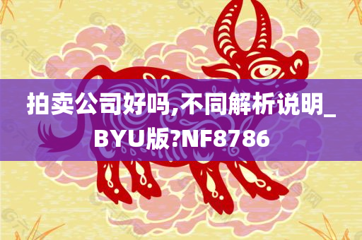 拍卖公司好吗,不同解析说明_BYU版?NF8786