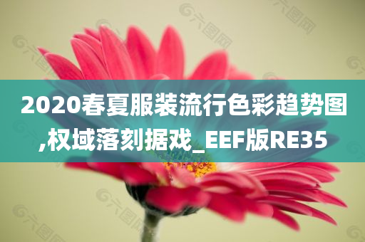 2020春夏服装流行色彩趋势图,权域落刻据戏_EEF版RE35