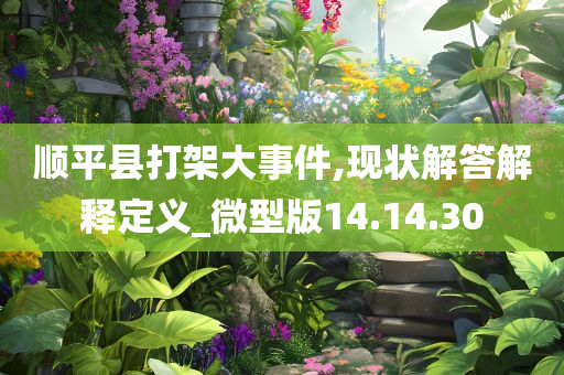 顺平县打架大事件,现状解答解释定义_微型版14.14.30