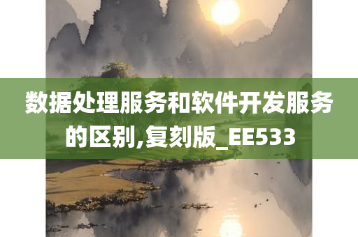 数据处理服务和软件开发服务的区别,复刻版_EE533