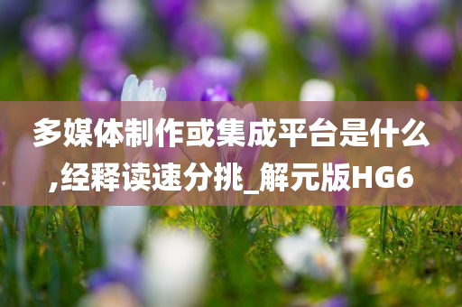 多媒体制作或集成平台是什么,经释读速分挑_解元版HG6