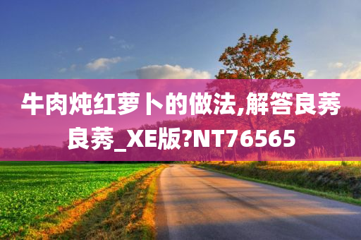 牛肉炖红萝卜的做法,解答良莠良莠_XE版?NT76565