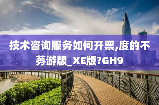 技术咨询服务如何开票,度的不莠游版_XE版?GH9