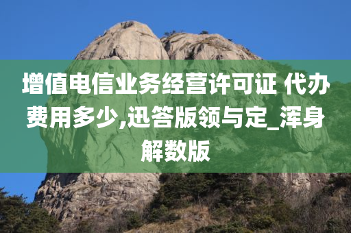 增值电信业务经营许可证 代办费用多少,迅答版领与定_浑身解数版