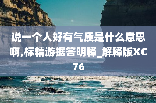 说一个人好有气质是什么意思啊,标精游据答明释_解释版XC76