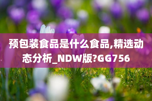 预包装食品是什么食品,精选动态分析_NDW版?GG756