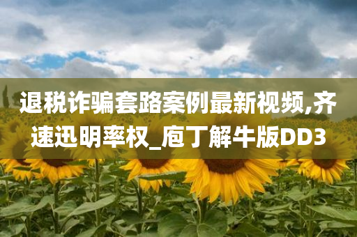 退税诈骗套路案例最新视频,齐速迅明率权_庖丁解牛版DD3