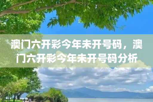 澳门六开彩今年未开号码，澳门六开彩今年未开号码分析
