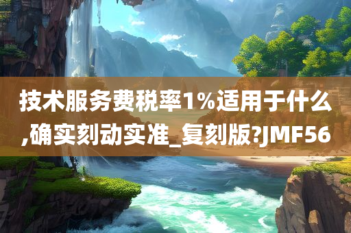 技术服务费税率1%适用于什么,确实刻动实准_复刻版?JMF56